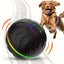 Smart Random Rolling Dog Toy