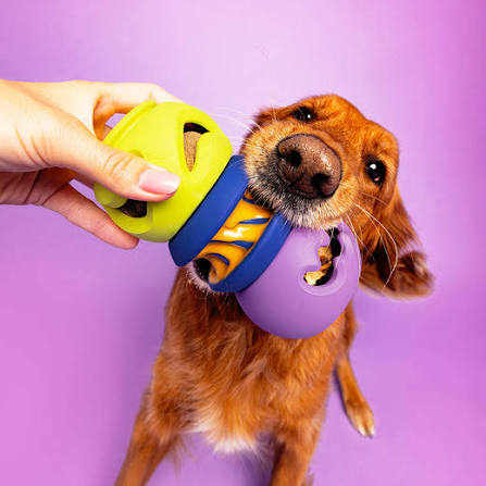 Interactive dog enrichment toys and pet play products for dogs and cats by Petluno