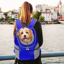 Outdoor travel gear for dogs and cats including pet carrier backpack, travel accessories, walking essentials and adventure gear by Petluno
