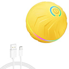 Smart Random Rolling Dog Toy