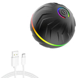 Smart Random Rolling Dog Toy