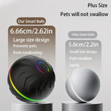 Smart Random Rolling Dog Toy