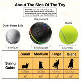 Smart Random Rolling Dog Toy