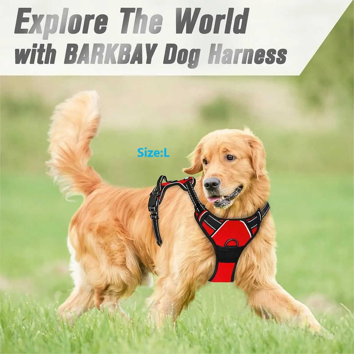 Adjustable No-Pull Reflective Dog Harness – Front Clip