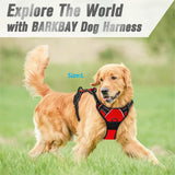 Adjustable No-Pull Reflective Dog Harness – Front Clip