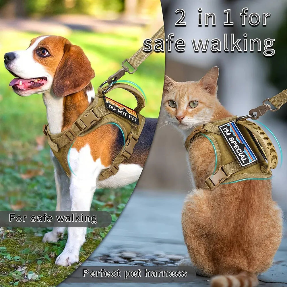 Tactical Cat Harness with Leash – Adjustable Mesh Vest