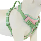 Chocolate Luxury No-Pull Dog Harness – Adjustable