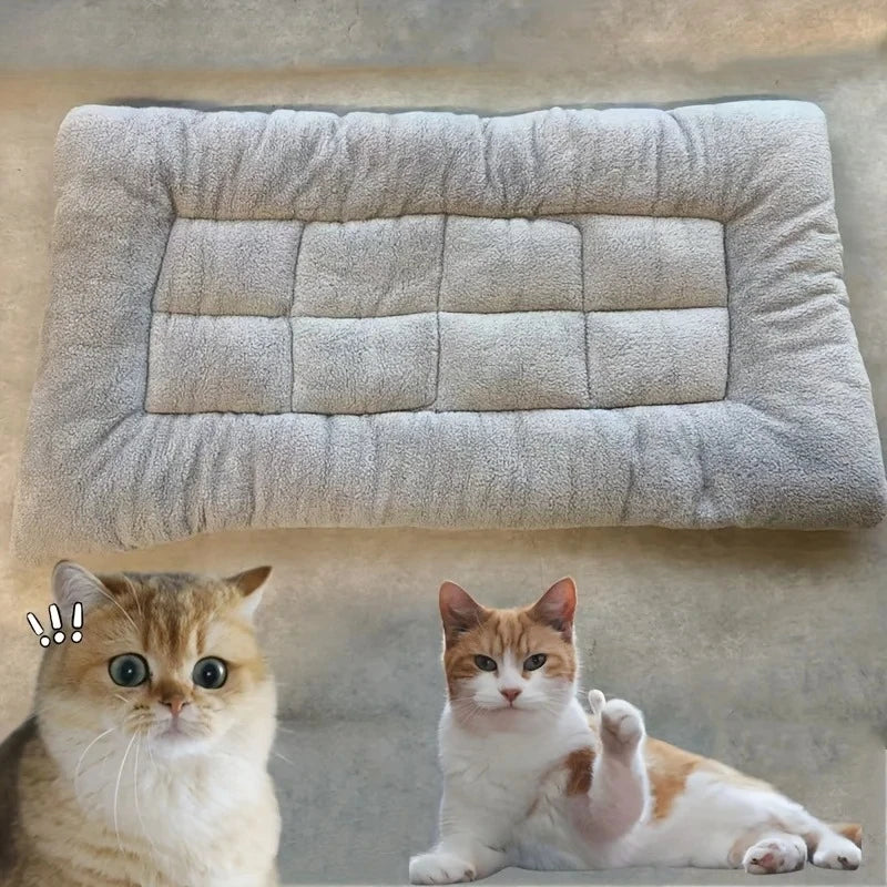 Large Plush Super-Soft Dog Bed