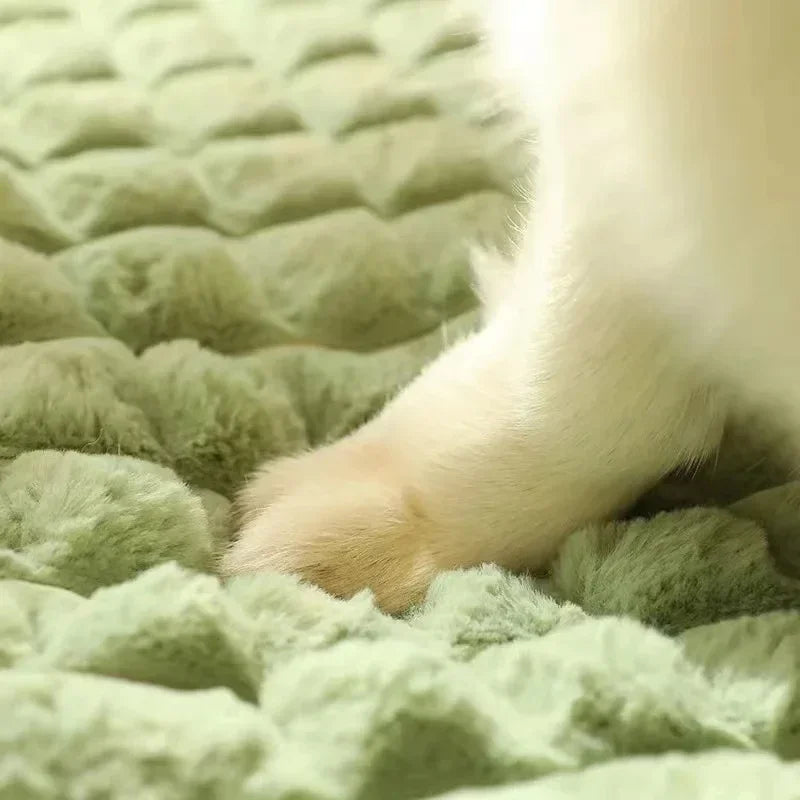 Machine-Washable Orthopedic Pet Bed