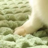 Machine-Washable Orthopedic Pet Bed