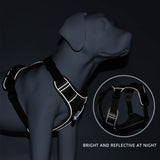 Reflective Adjustable Dog Harness – Oxford Training Vest
