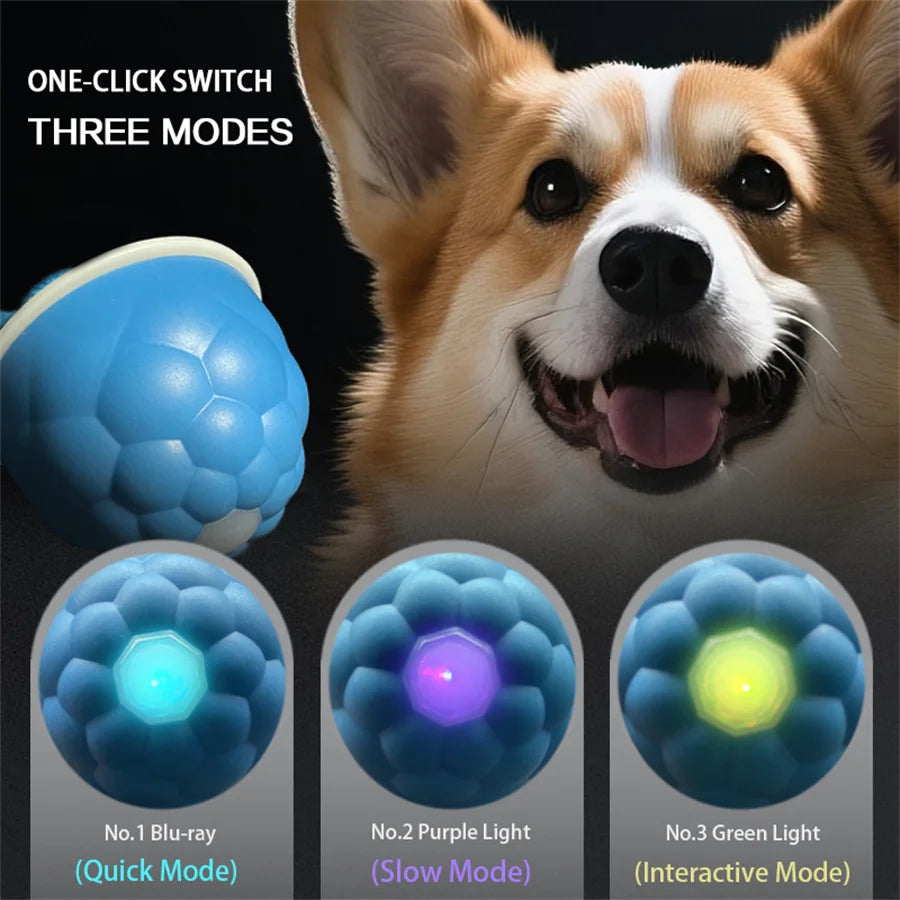 Smart Self-Rolling Dog Ball