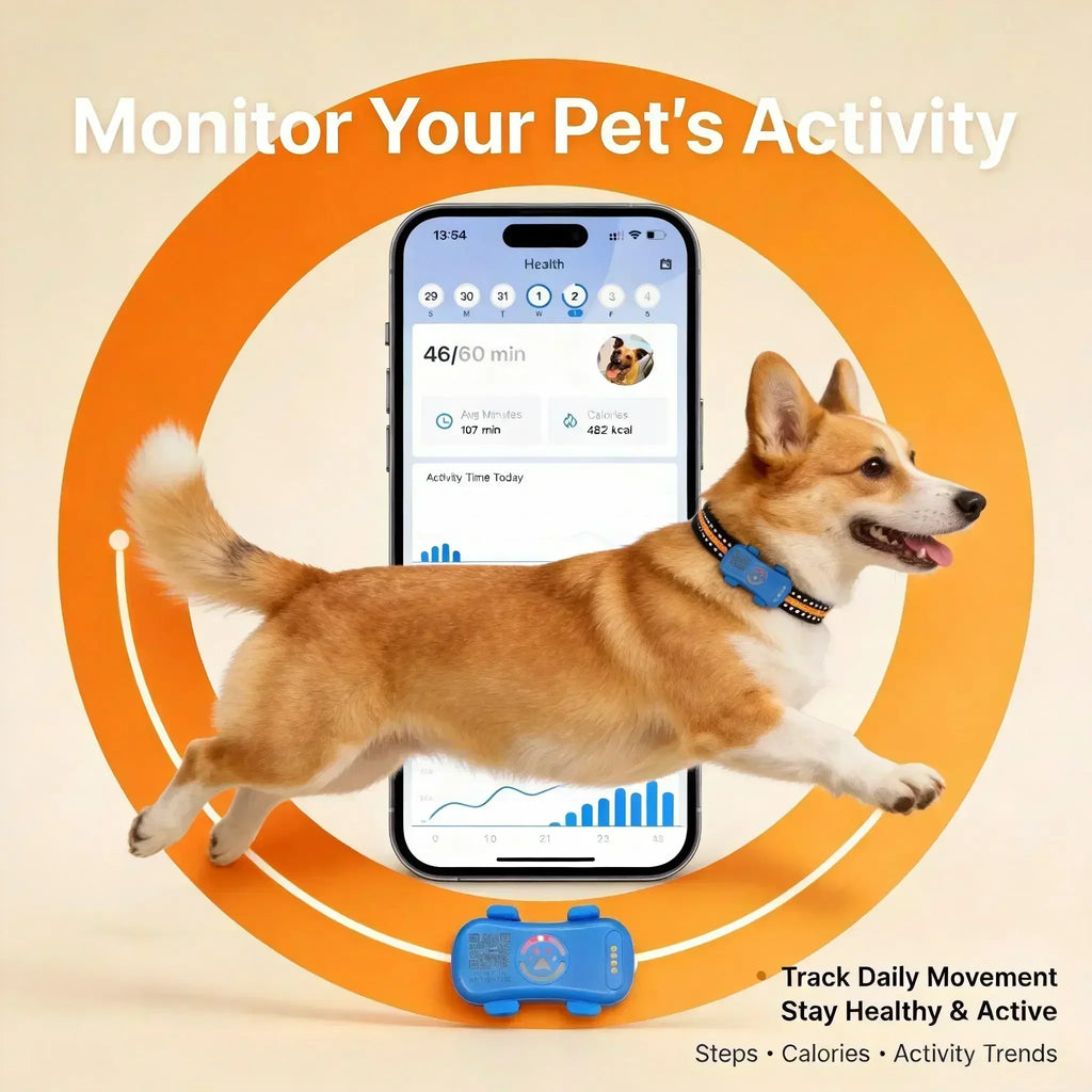 4G GPS Pet Tracker