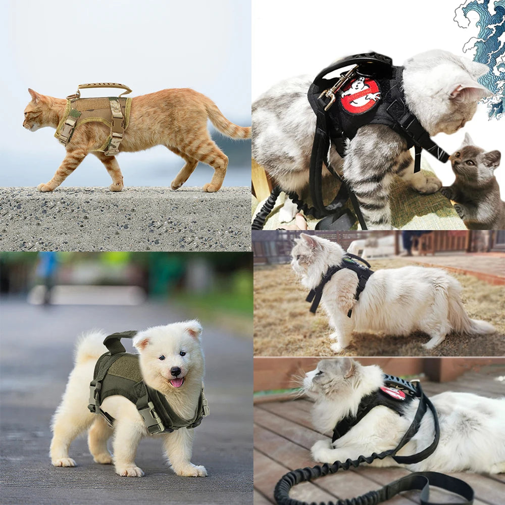 Tactical Escape-Proof Cat Harness – Adjustable Mesh Vest