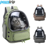 Transparent Breathable Pet Carrier Backpack