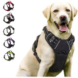 Adjustable No-Pull Reflective Dog Harness – Front Clip