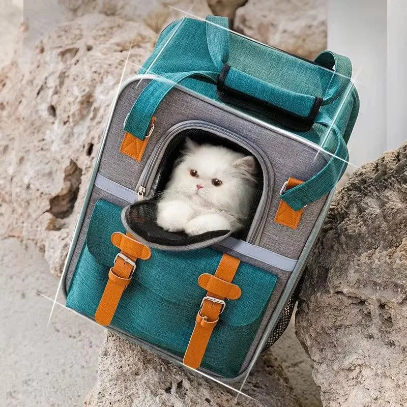 Fashionable Pet Travel Backpack