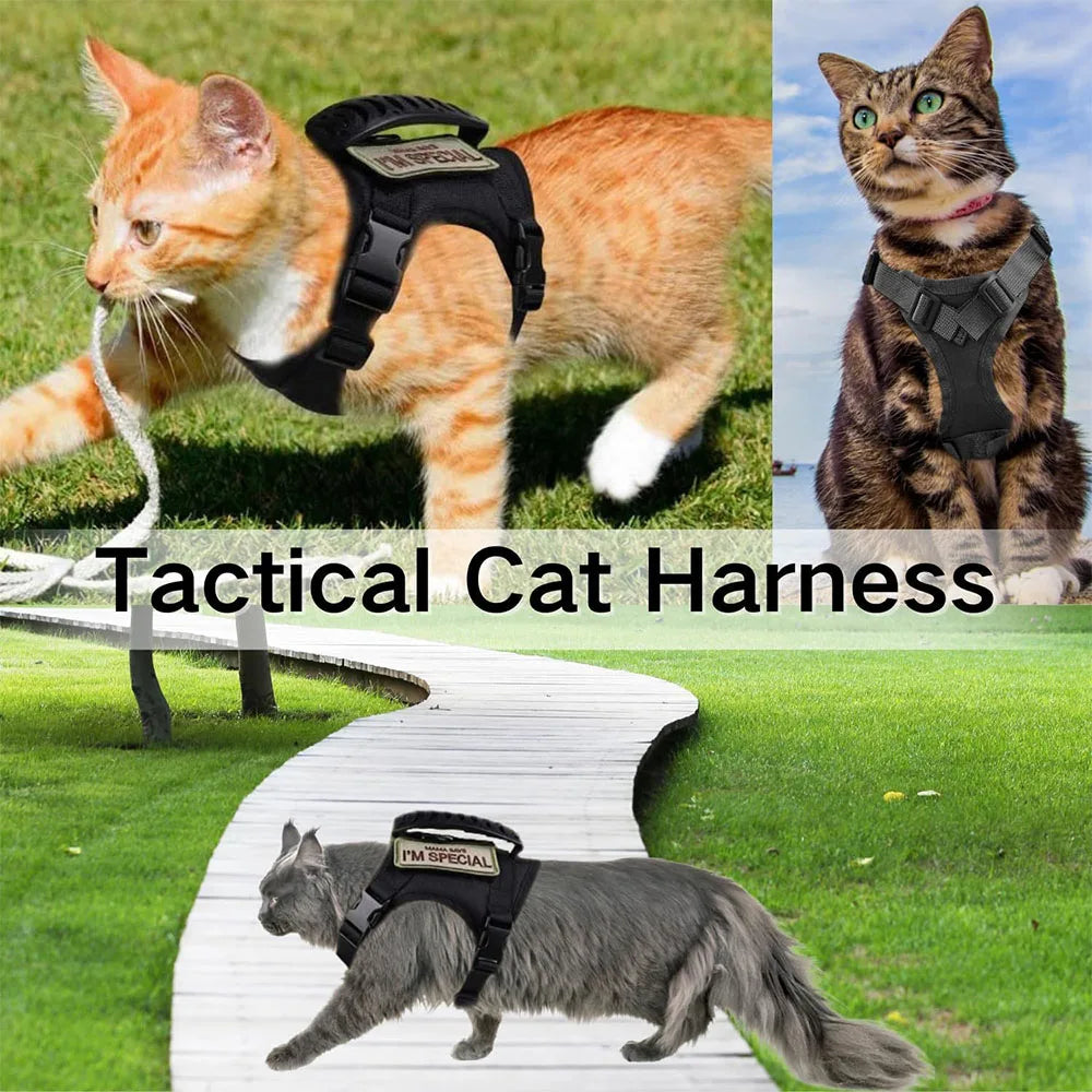 Tactical Cat Harness with Leash – Adjustable Mesh Vest