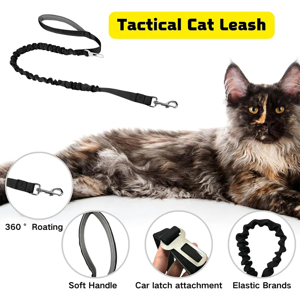 Tactical Cat Harness with Leash – Adjustable Mesh Vest