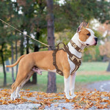 Chocolate Luxury No-Pull Dog Harness – Adjustable