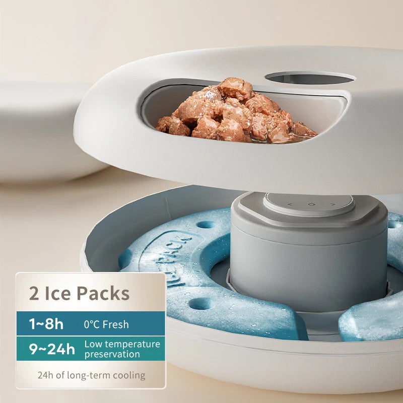 6-Meal Automatic Pet Feeder