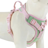 Chocolate Luxury No-Pull Dog Harness – Adjustable