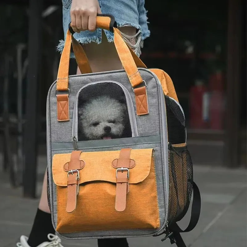 Fashionable Pet Travel Backpack