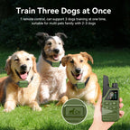 Electric Dog Training Collar