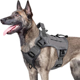 Adjustable No-Pull Tactical Dog Harness – Reflective Vest