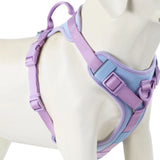 Chocolate Luxury No-Pull Dog Harness – Adjustable