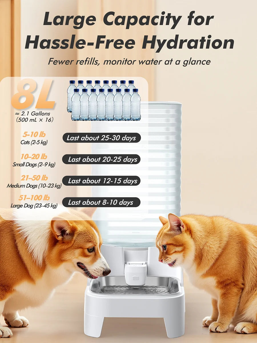 8L Automatic Pet Feeder & Waterer