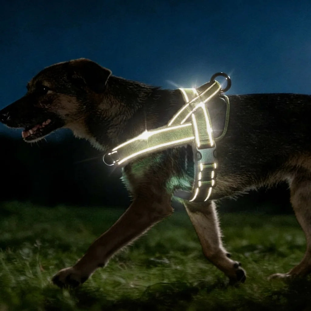 Tactical No-Pull Dog Harness – Heavy-Duty Reflective Vest