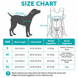 Breathable Front Pet Carrier Backpack