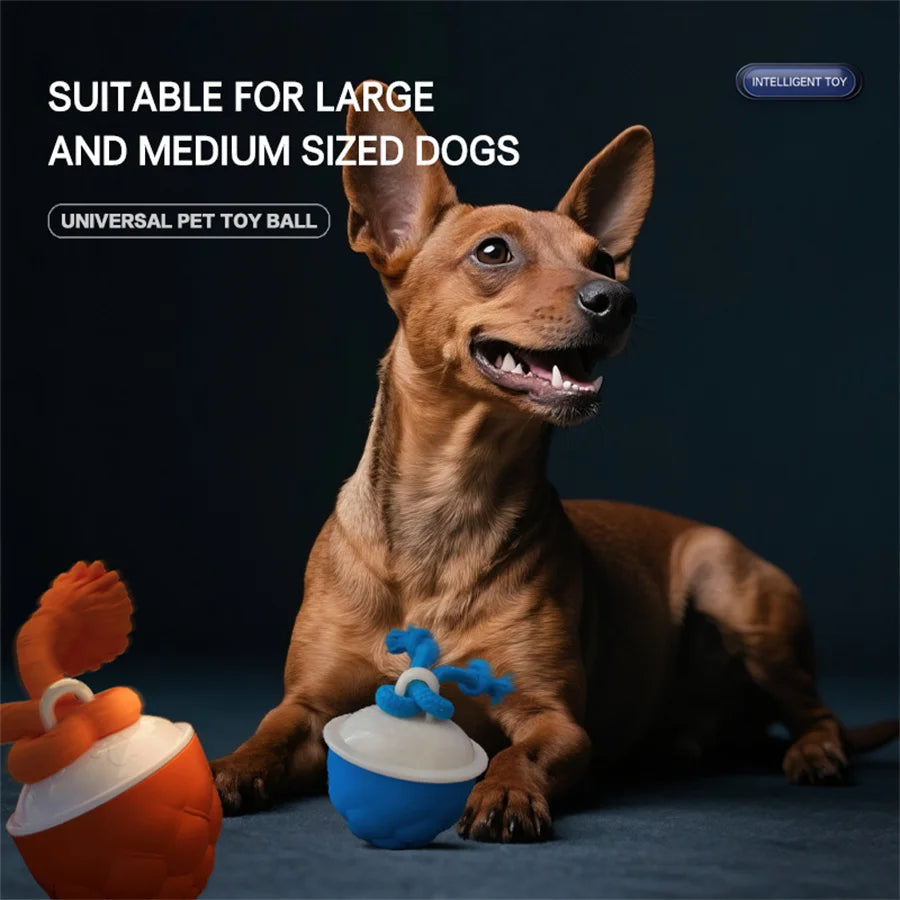 Smart Self-Rolling Dog Ball