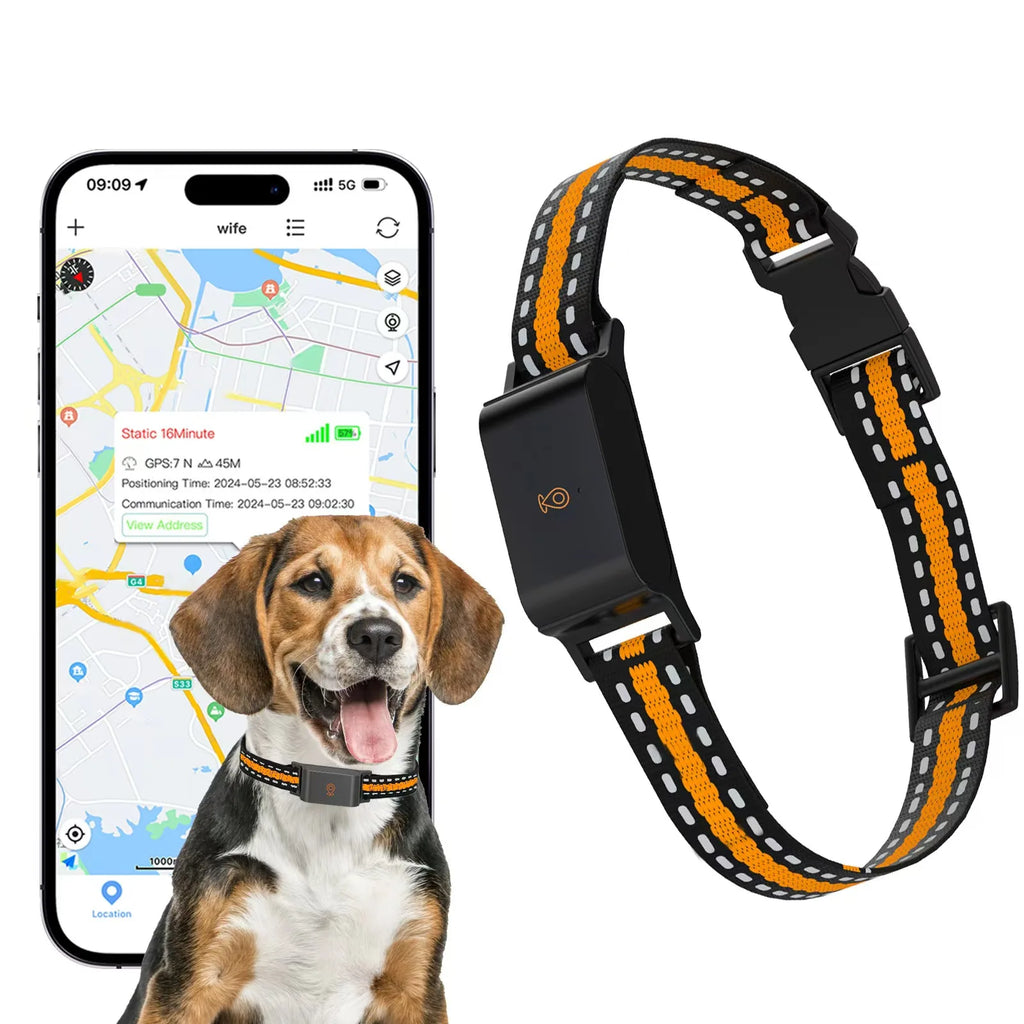 Real-Time GPS Pet Tracker