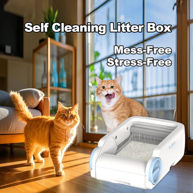 Smart Automatic Self-Cleaning Cat Litter Box with App Control Main Image
