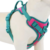 Chocolate Luxury No-Pull Dog Harness – Adjustable