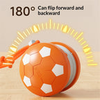 Smart Interactive Spinning Pet Ball