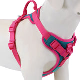 Chocolate Luxury No-Pull Dog Harness – Adjustable