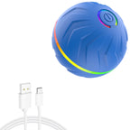 Smart Random Rolling Dog Toy