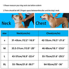 Chocolate Luxury No-Pull Dog Harness – Adjustable