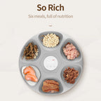6-Meal Automatic Pet Feeder