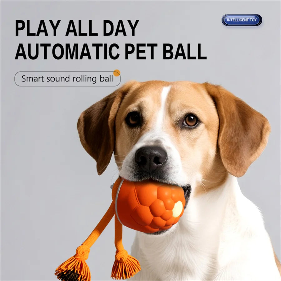 Smart Self-Rolling Dog Ball