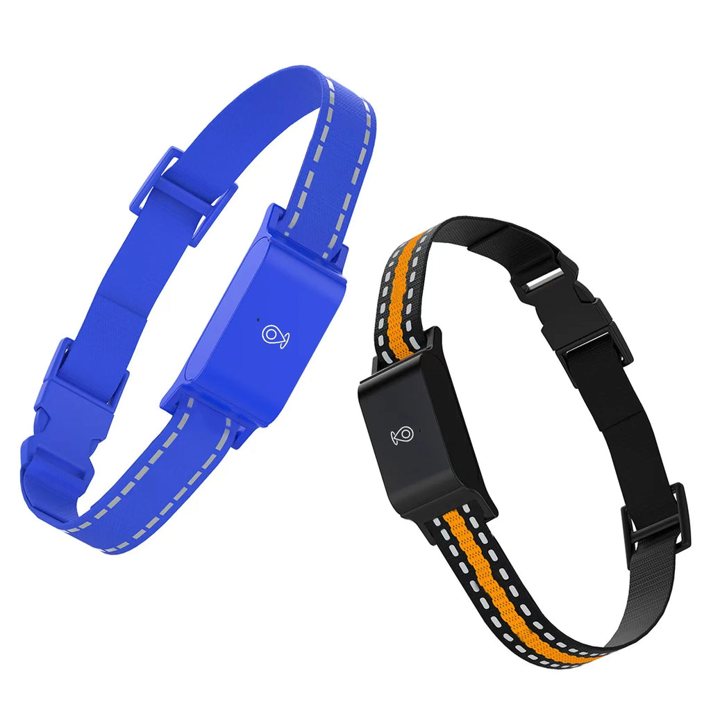 Real-Time GPS Pet Tracker