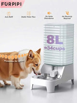 8L Automatic Pet Feeder & Waterer