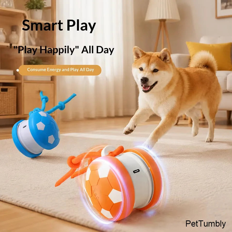 Smart Interactive Spinning Pet Ball