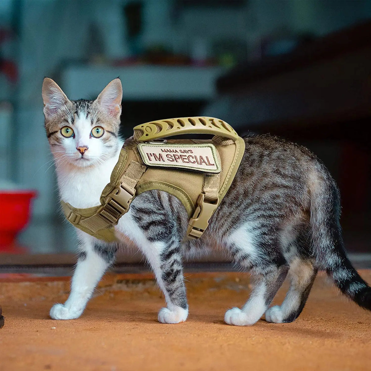 Tactical Escape-Proof Cat Harness – Adjustable Mesh Vest