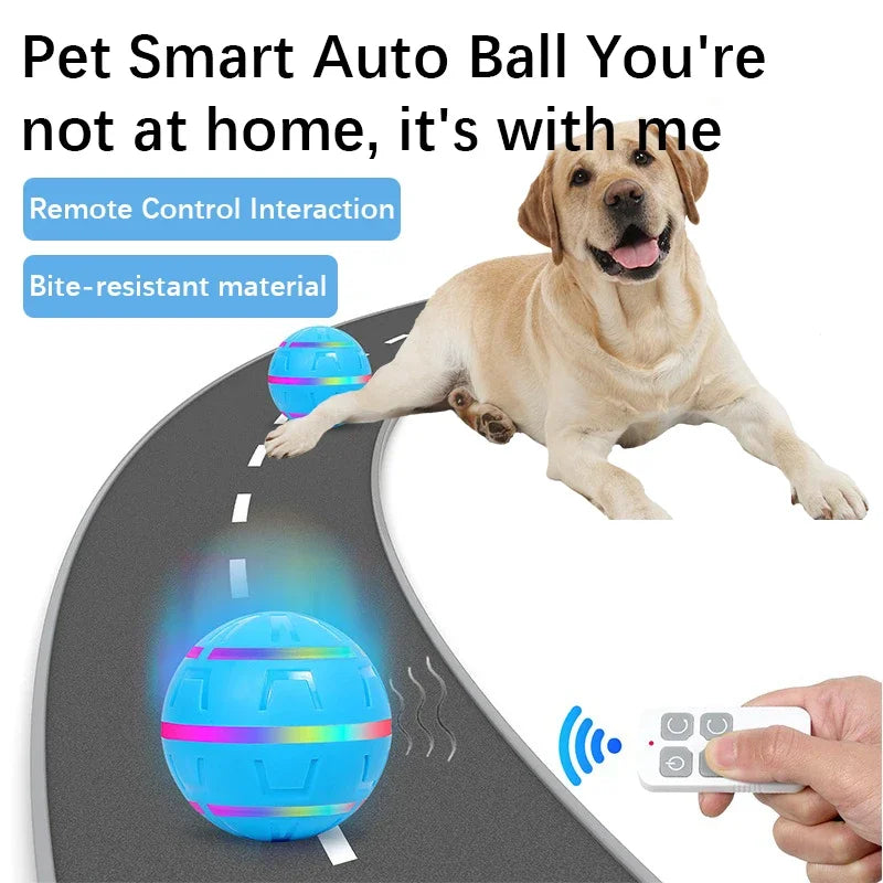 Rechargeable Interactive Pet Toy Ball