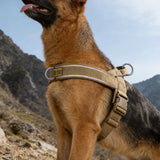 Tactical No-Pull Dog Harness – Heavy-Duty Reflective Vest