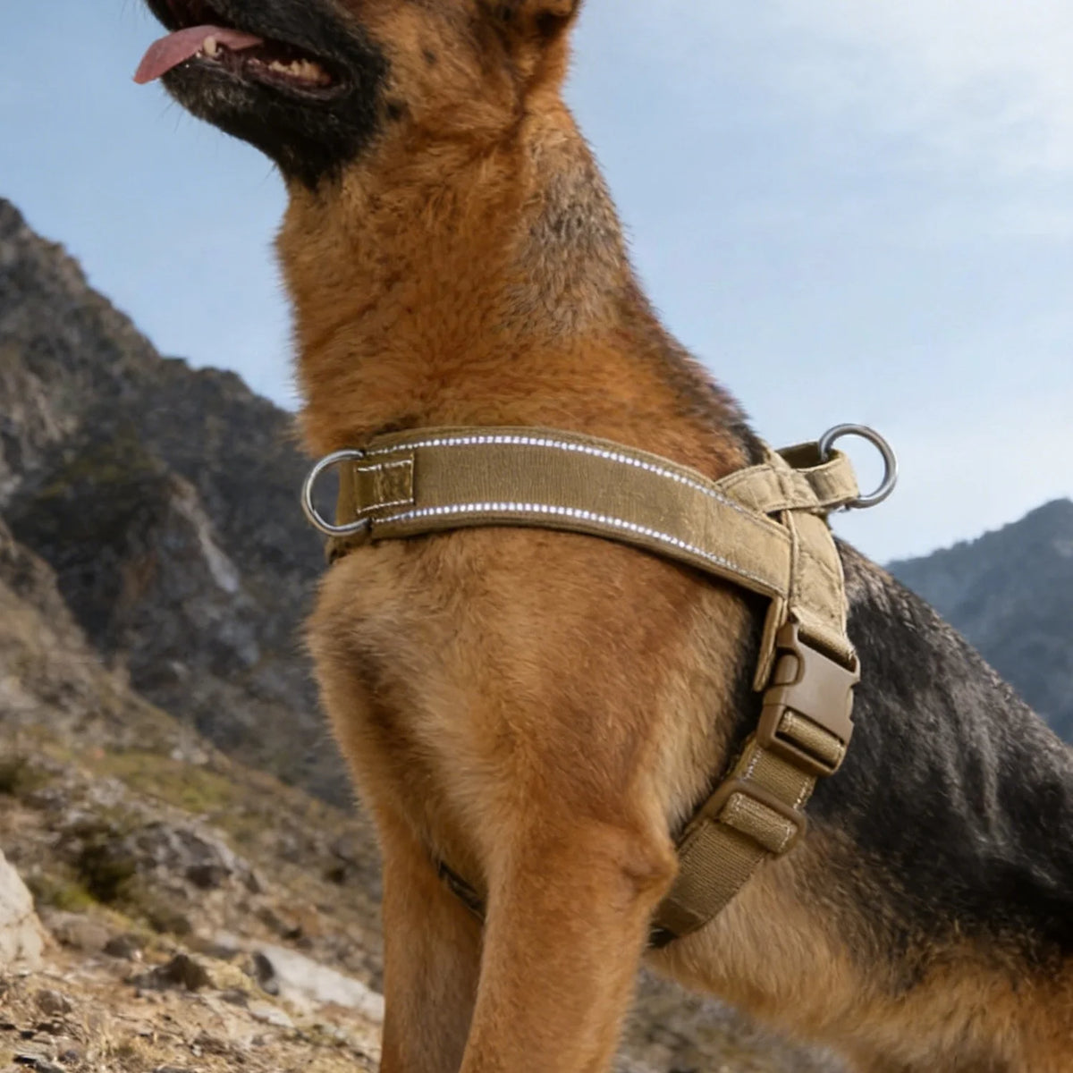 Tactical No-Pull Dog Harness – Heavy-Duty Reflective Vest